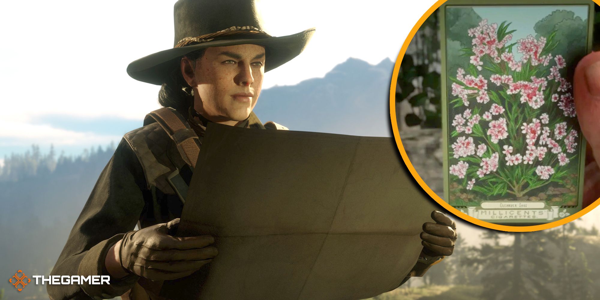 Red Dead Online: Oleander Sage Locations