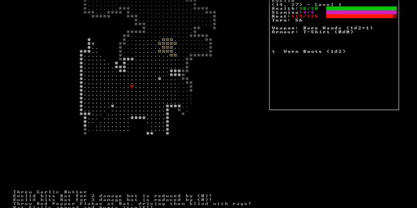 The Best Text-Based Roguelikes You Can Play On PC