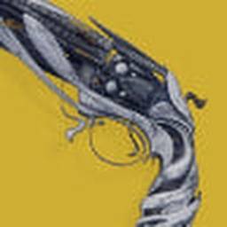 Destiny 2 Lumina Exotic Icon