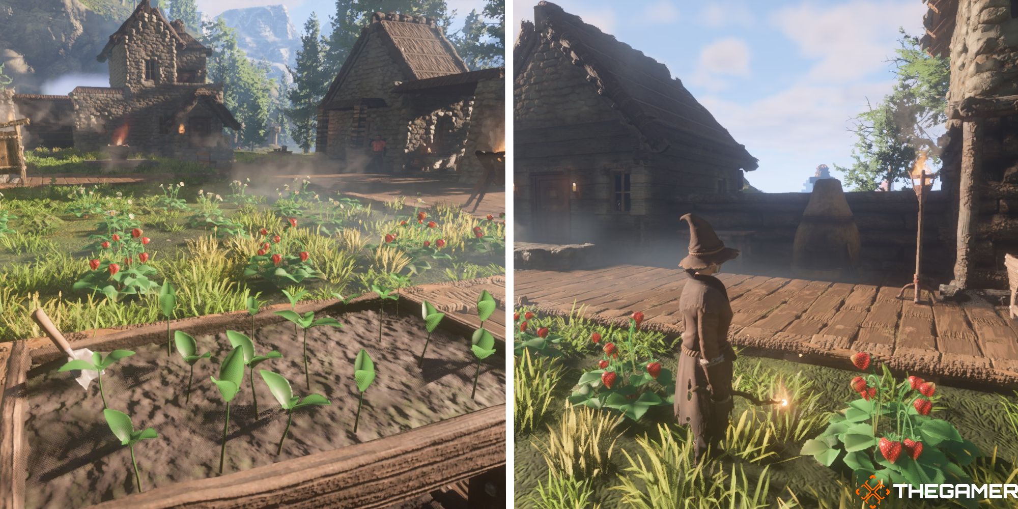 How To Find Strawberries In Enshrouded