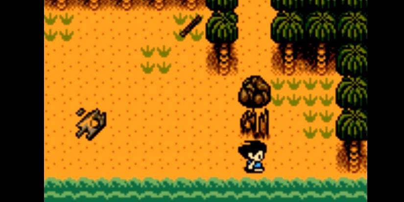 The Rarest GBC Games And How Much They're Worth