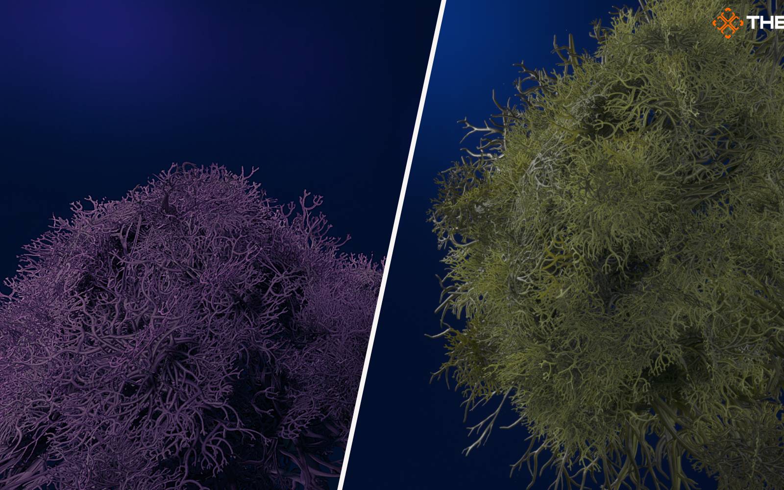 How To Get Moss In Avatar: Frontiers of Pandora