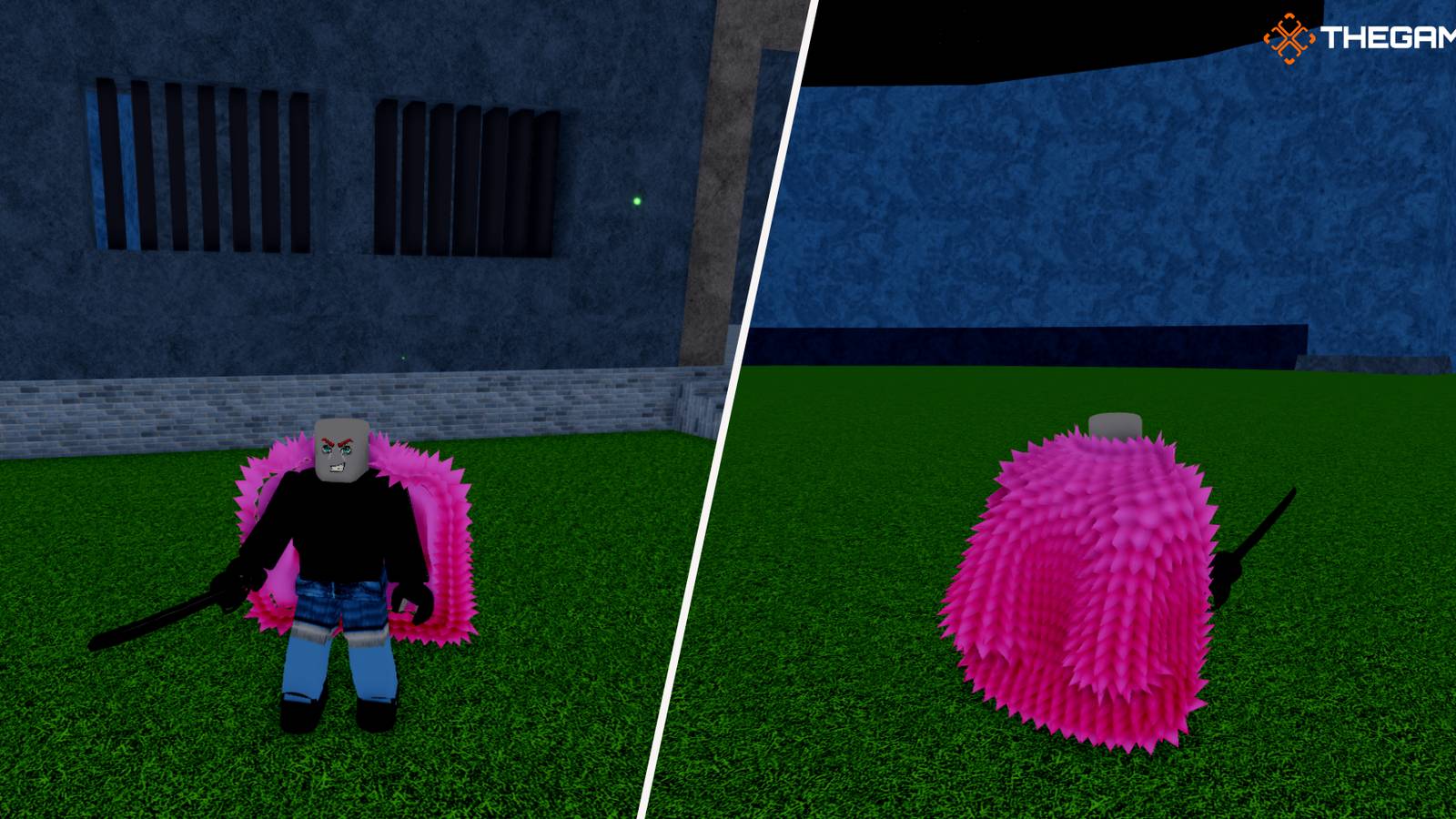 How To Get The Pink Coat In Roblox: Blox Fruits
