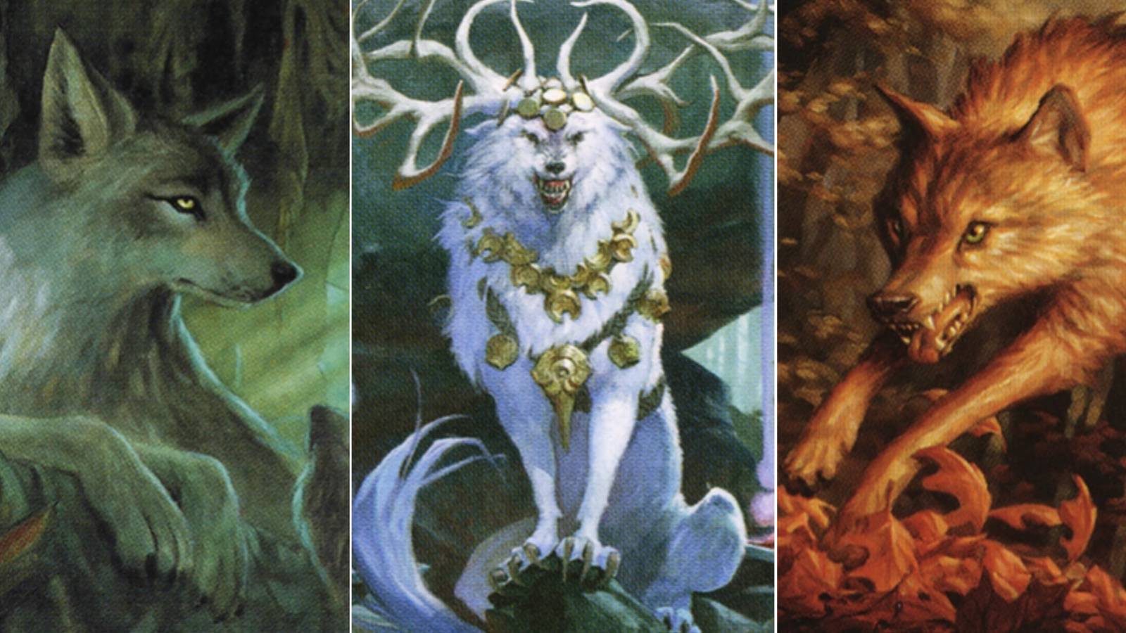 The Best Wolves In MTG, image size:1600x900
