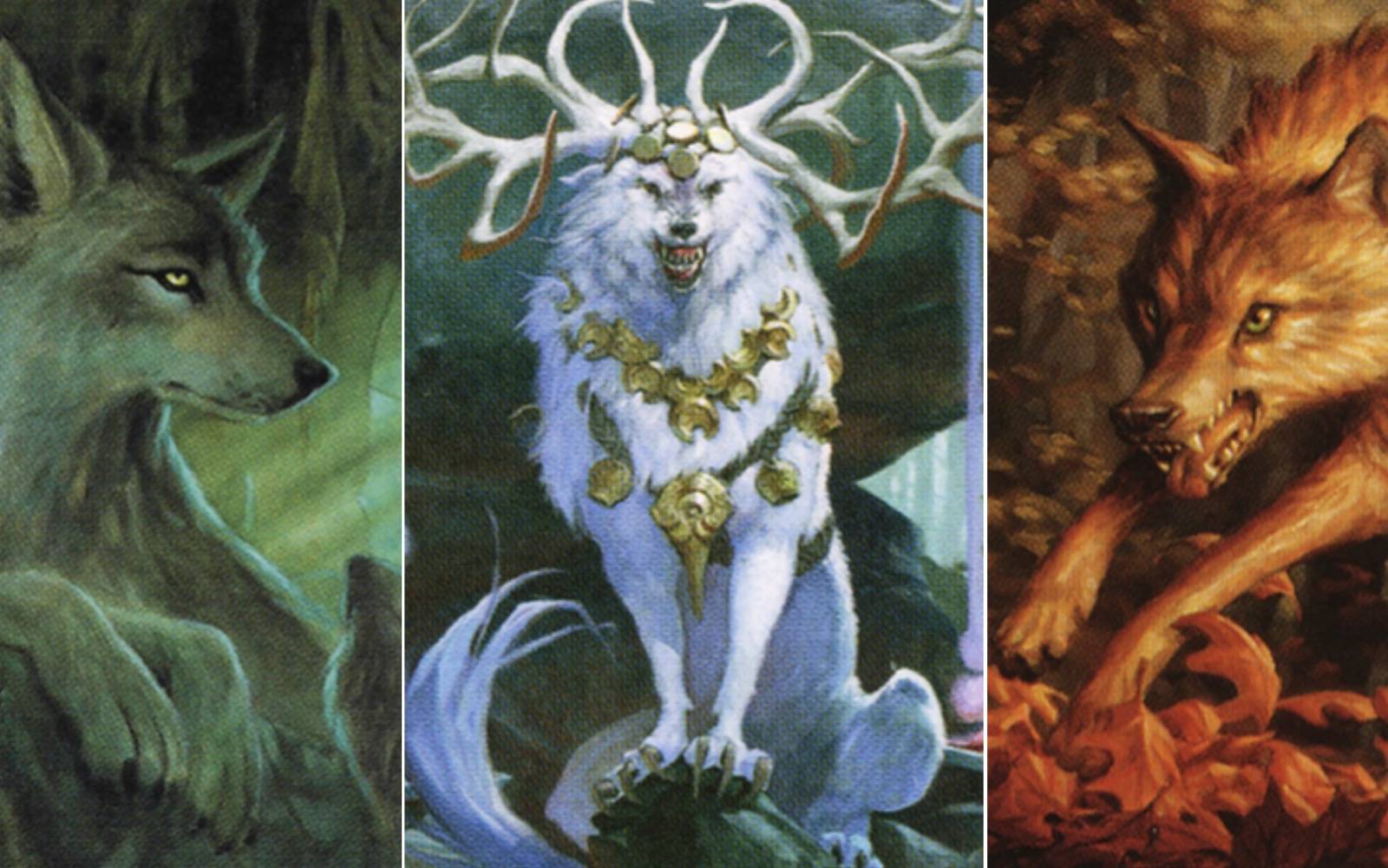 The Best Wolves In MTG The Best Wolves In MTG