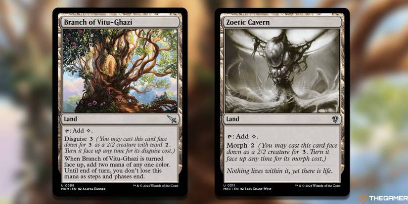 The Best Disguise Cards In MTG The Best Disguise Cards In MTG
