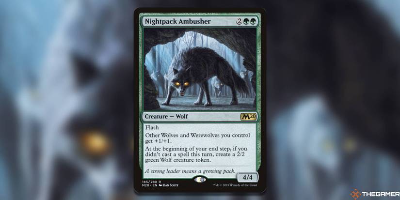 The Best Wolves In MTG The Best Wolves In MTG