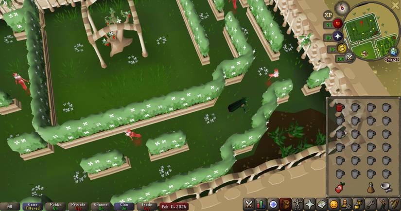 How To Beat The Sorceress's Garden In Old School RuneScape