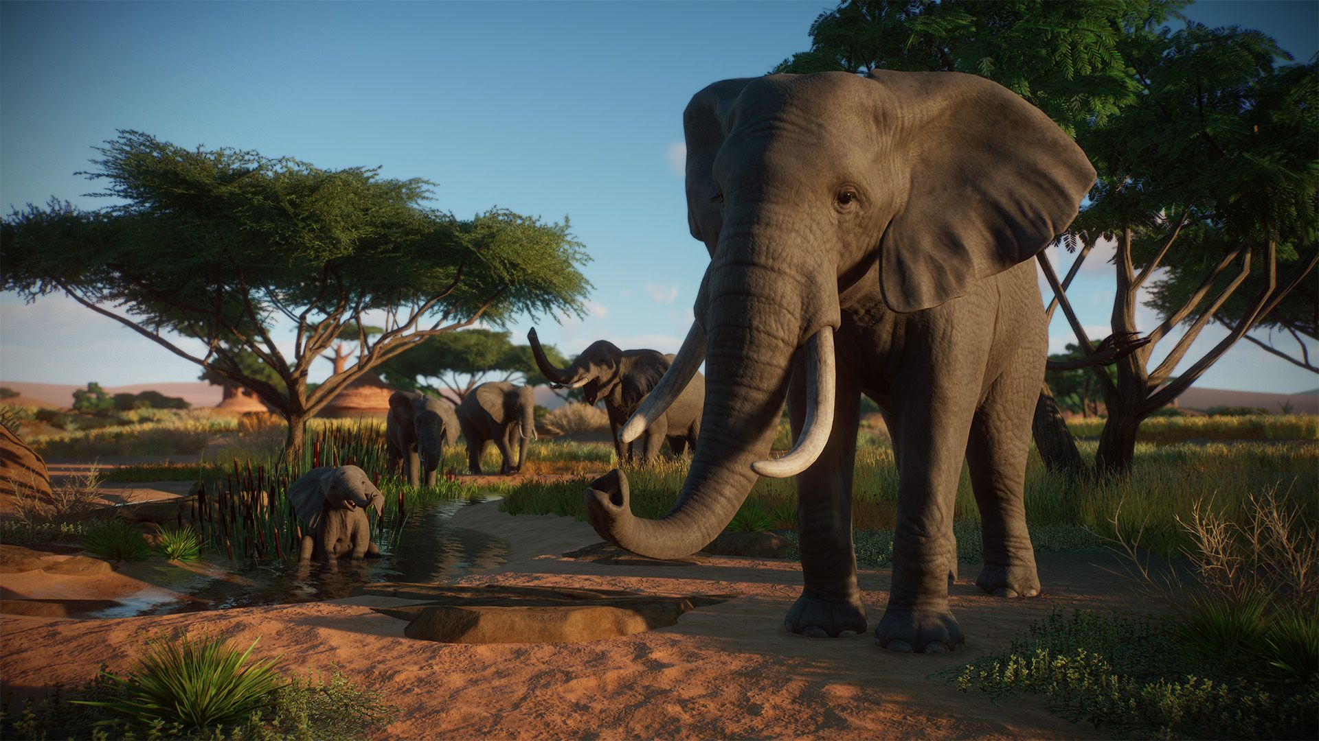 Elephants in Planet Zoo