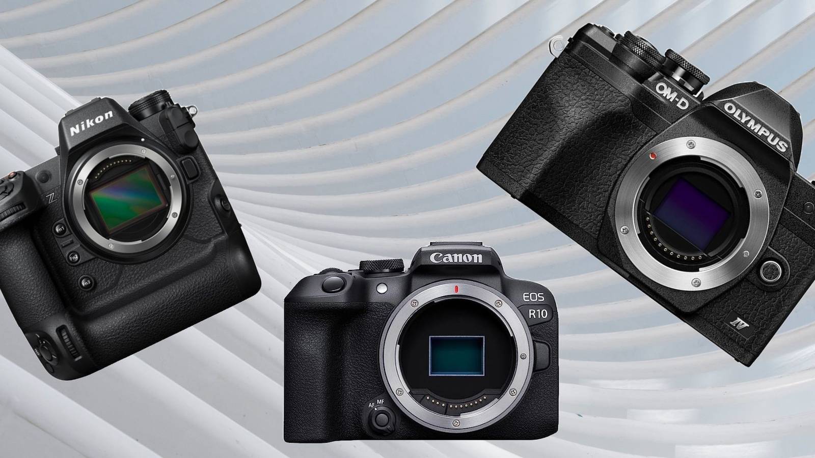 Top Mirrorless Cameras In 2024