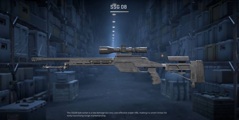 All Sniper Rifle's In Counter Strike 2, Ranked