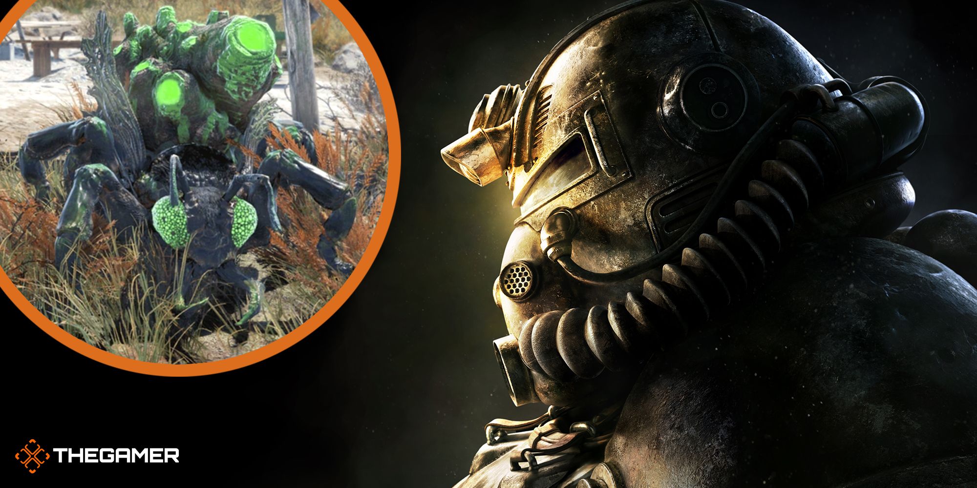 Member of Honey Beast and Brotherhood of Steel in Fallout 76.