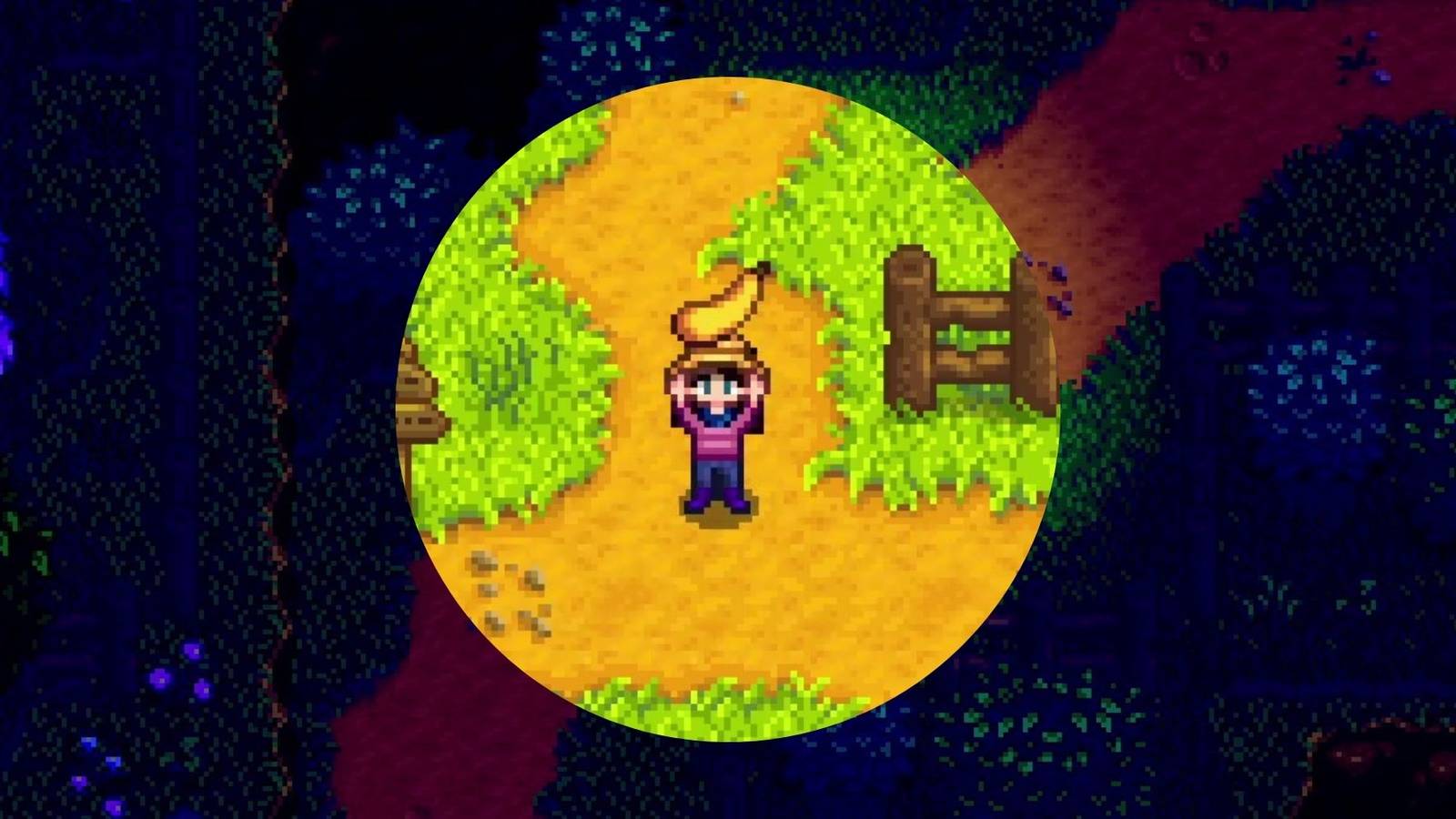 Squashed Fish Where To Find Summer Squash Seeds In Stardew Valley