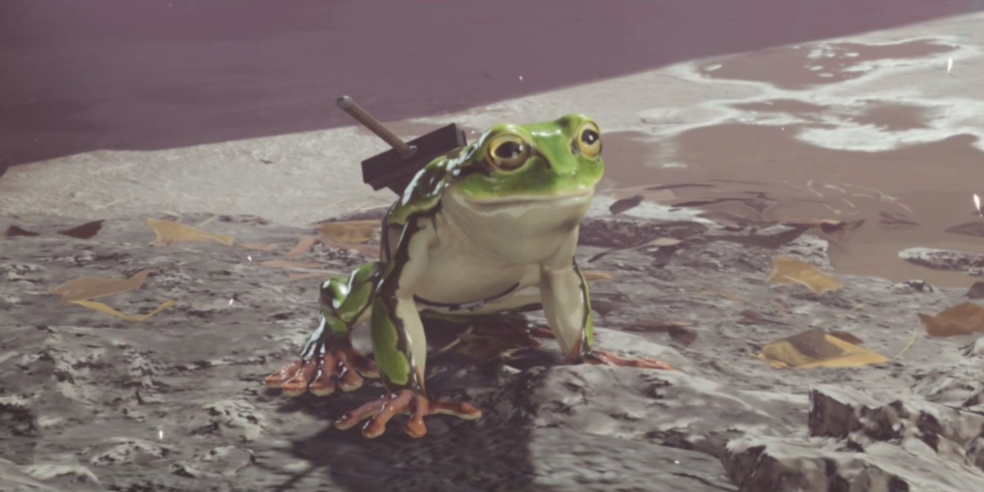 Calling All Frogs Side Quest Guide For Final Fantasy VII Rebirth