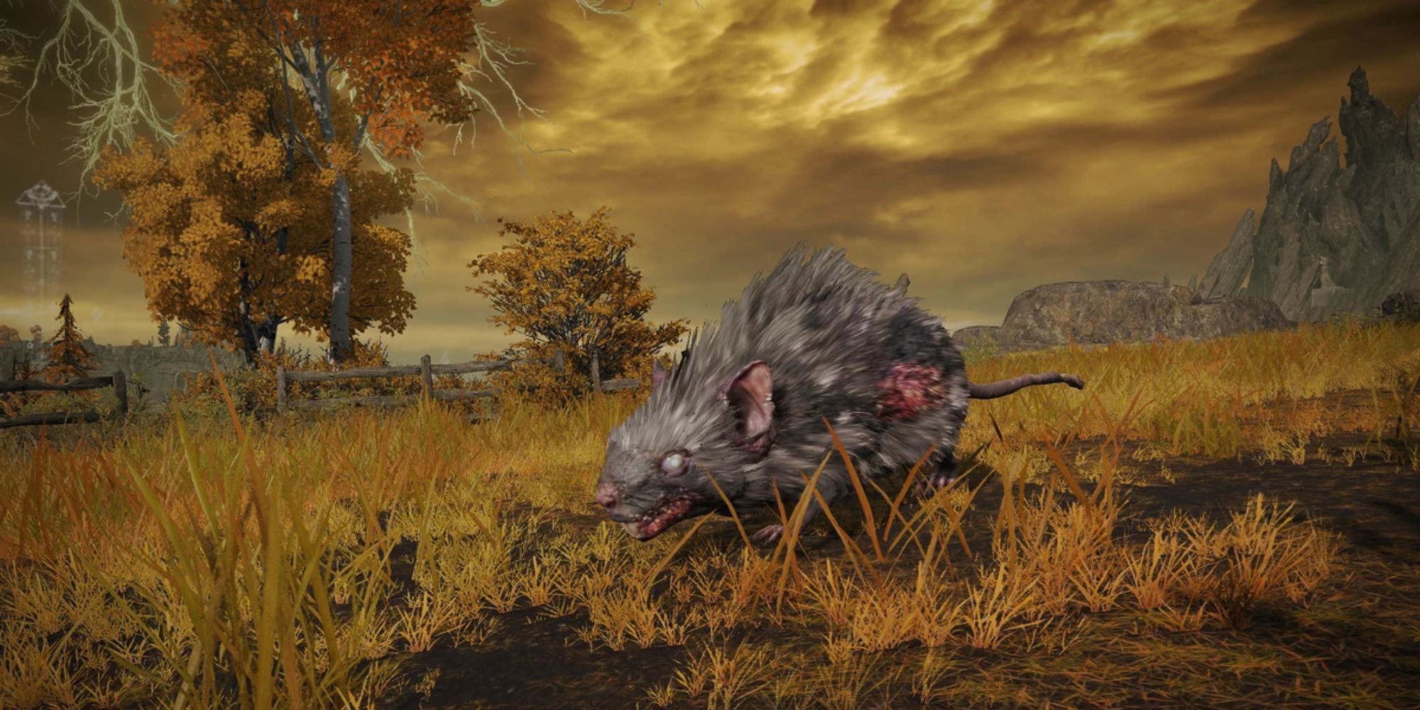 Is Elden Ring Better Than Baldur's Gate 3?