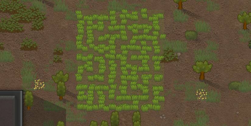 Hay Rack Rimworld The Best Crops to Plant in Your Colony In RimWorld