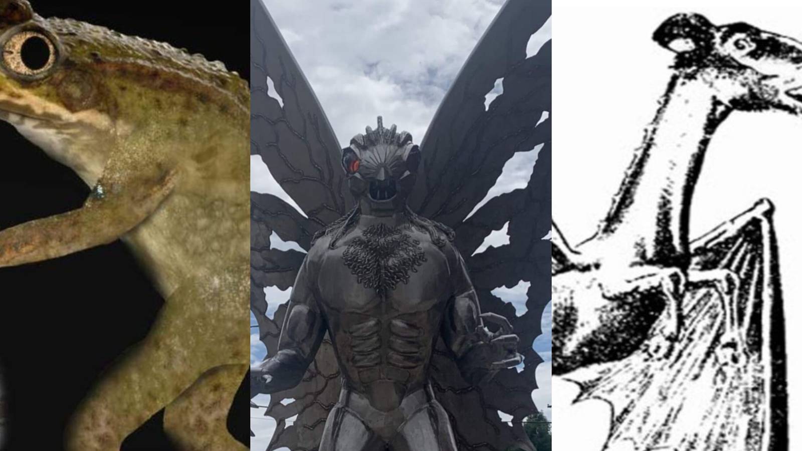 Modern Cryptids To Add To Your DnD Campaign
