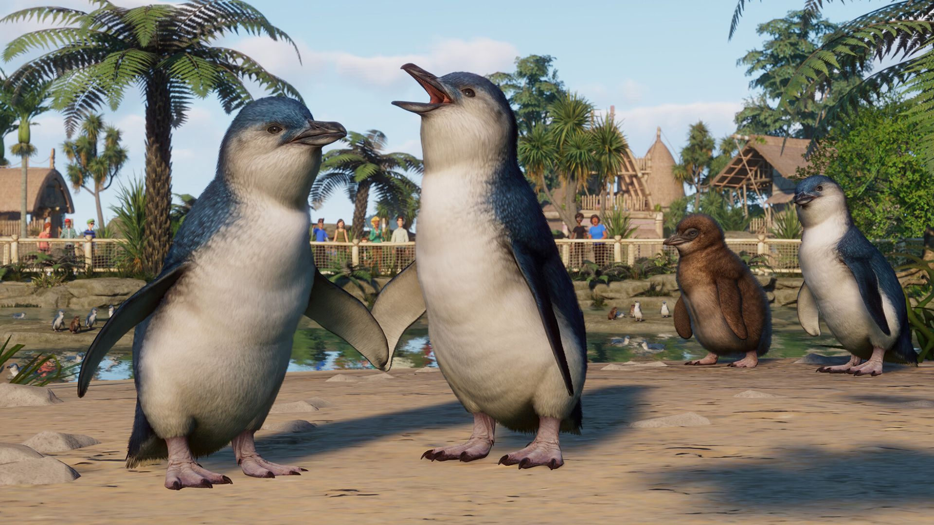 Planet Zoo little penguins in an enclosure stood in a group