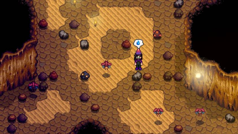 succulent plant gifts Dozen Mini Living Succulent Pot Favors Gift Box