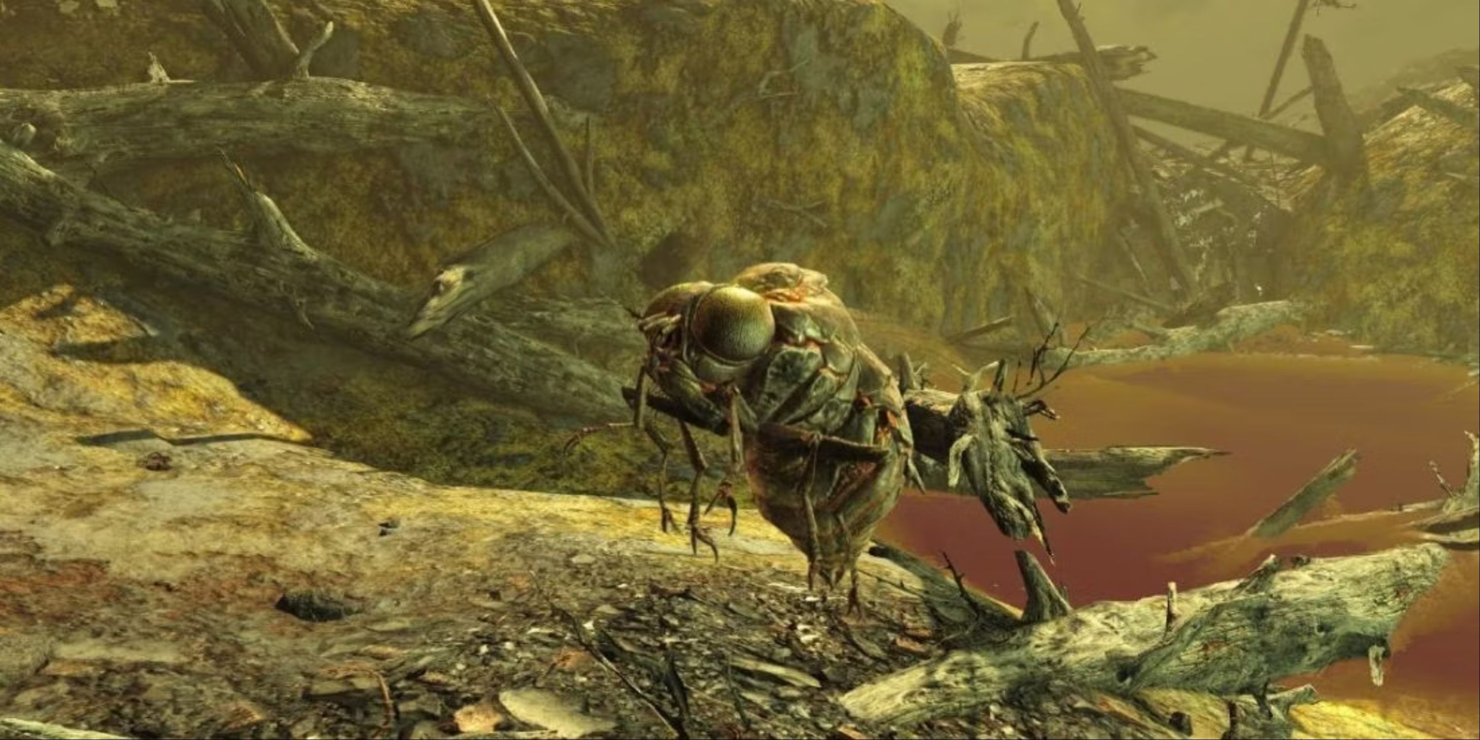 The Origin Of Fallout's Most Common Creatures