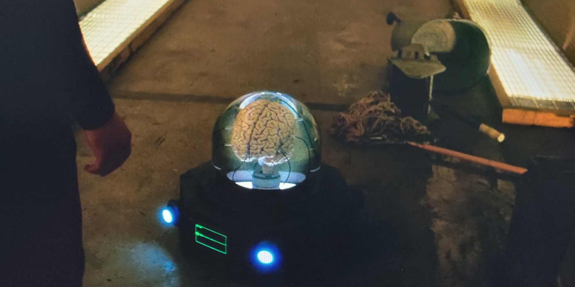 Fallout Rmind Control Device What Happened In Vault 32, Explained - Fallout