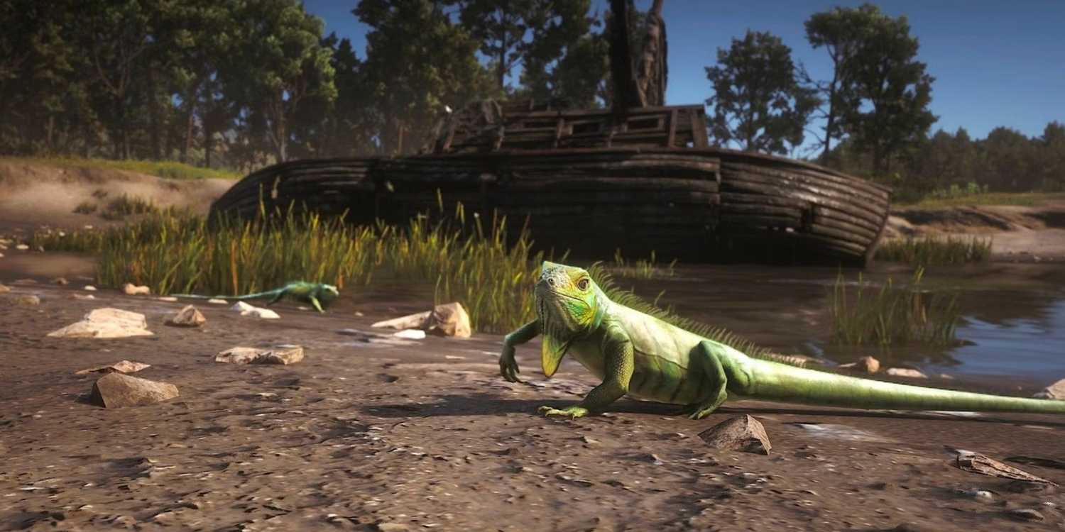 Lizard Rdr2 Where To Find The Hardest Non-Legendary Animals To Hunt In Red Dead ...