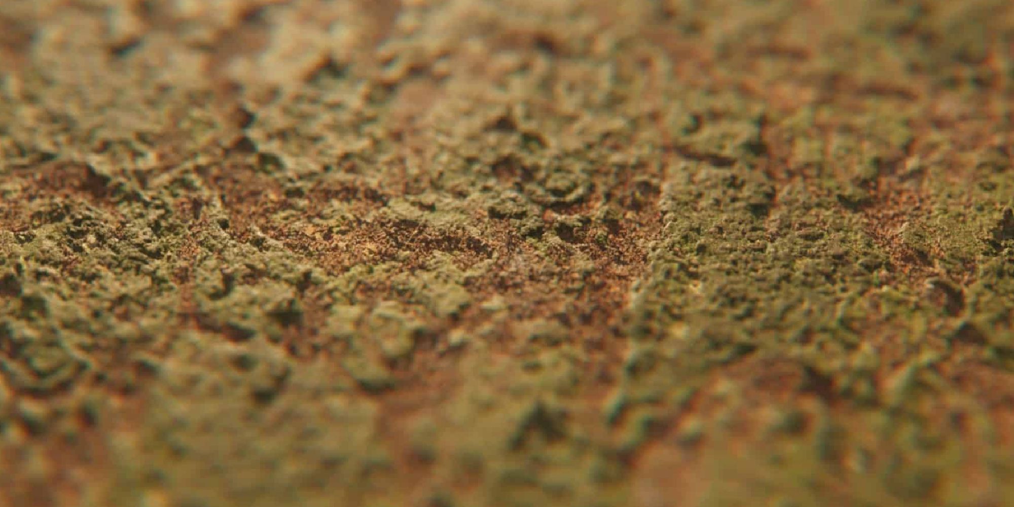 The Best Realistic Texture Packs For Minecraft