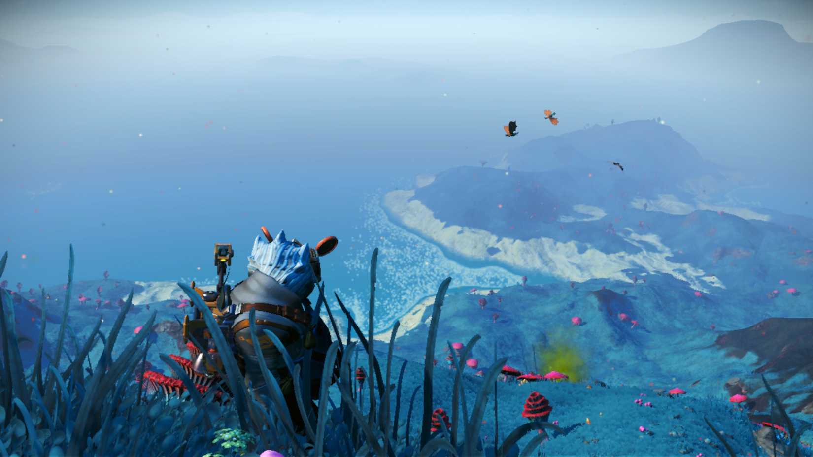Types Of In NMS