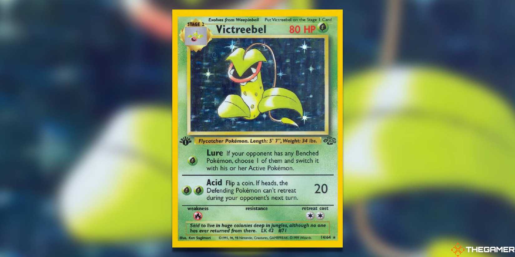 The Most Valuable Cards From Jungle - Pokemon TCG The Most Valuable Cards From Jungle - Pokemon TCG