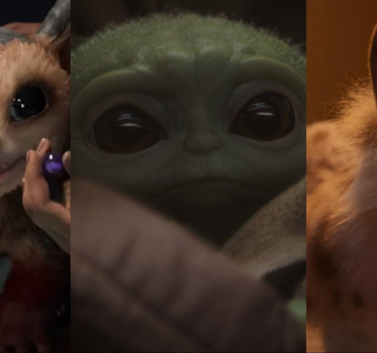 The Cutest Creatures In The Star Wars Universe, image size:1600x1500