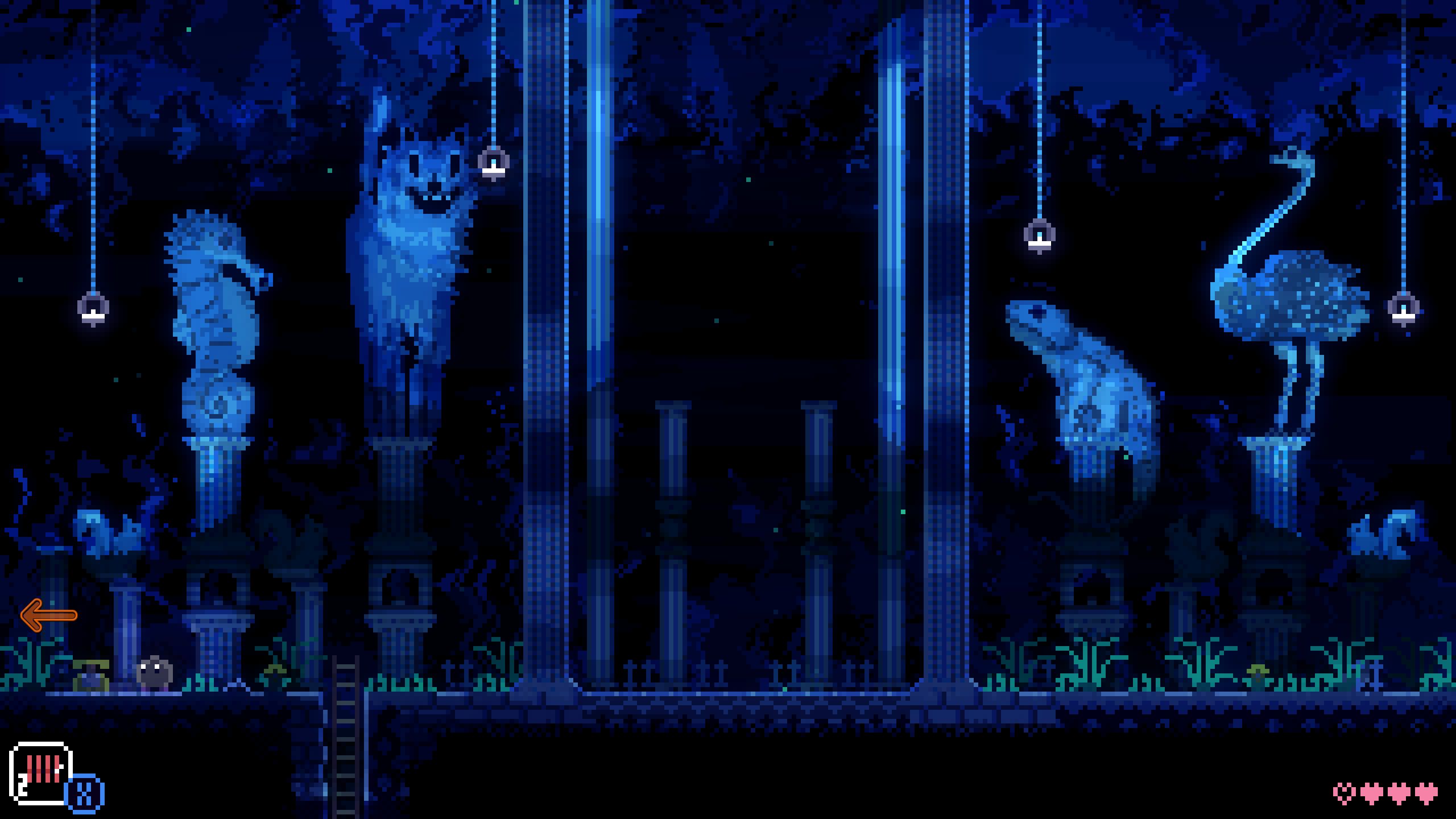 Where To Find The Map In Animal Well