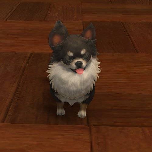 Guide To All Minions You Can Get From Retainer Ventures In FFXIV