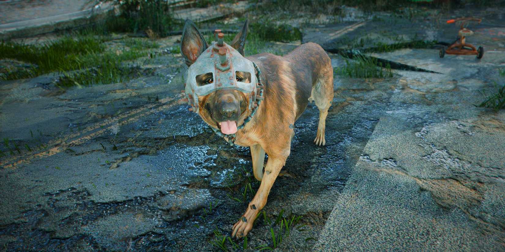 fallout dog helmet icon legion Dogmeat Keychain Best Equipment For Dogmeat In