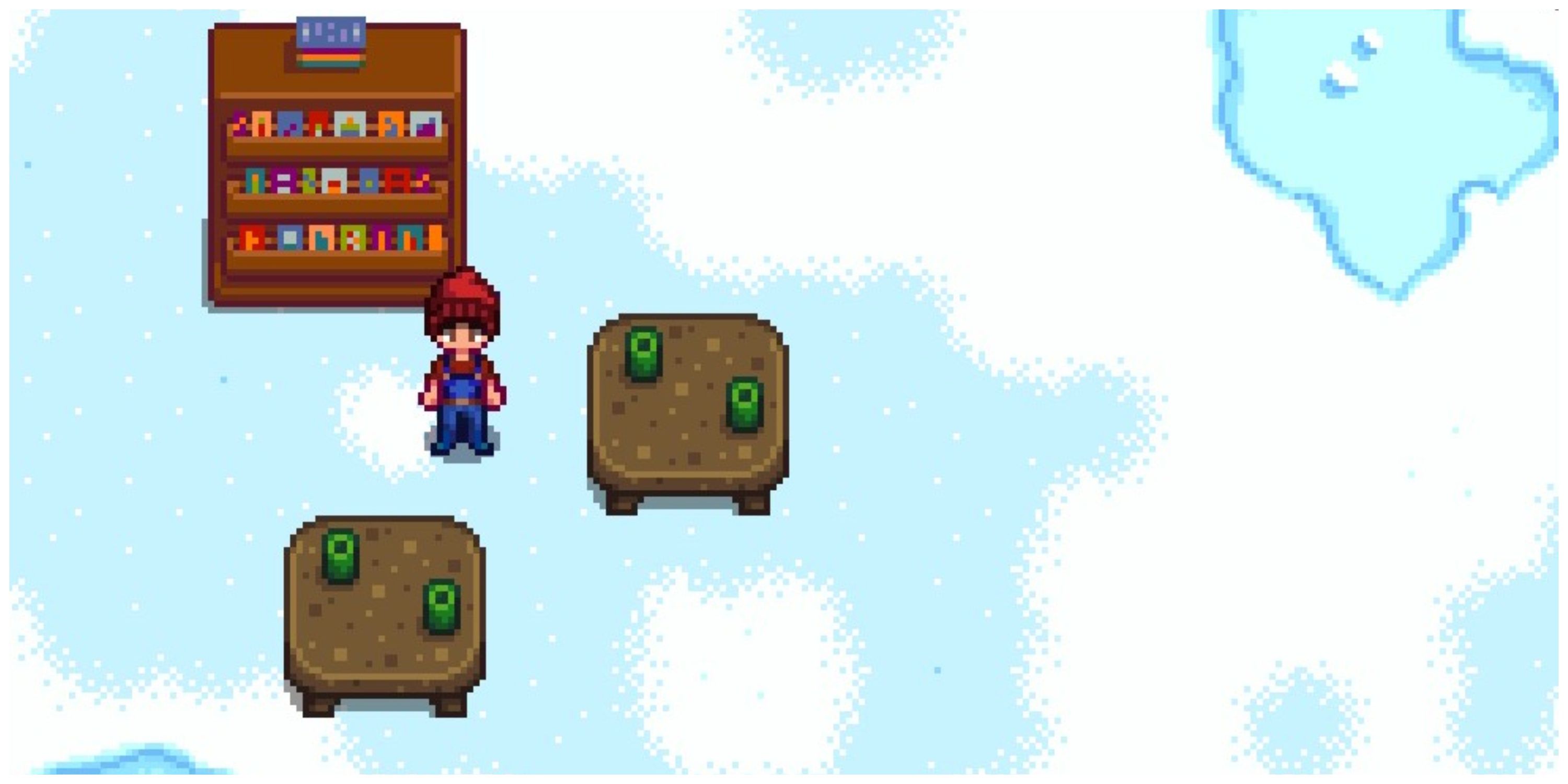 The Best Junimo Catalogue Items In Stardew Valley 1.6
