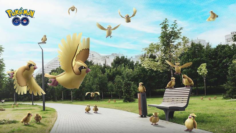 How To Complete The Flock Together Research Day Event In Pokemon Go