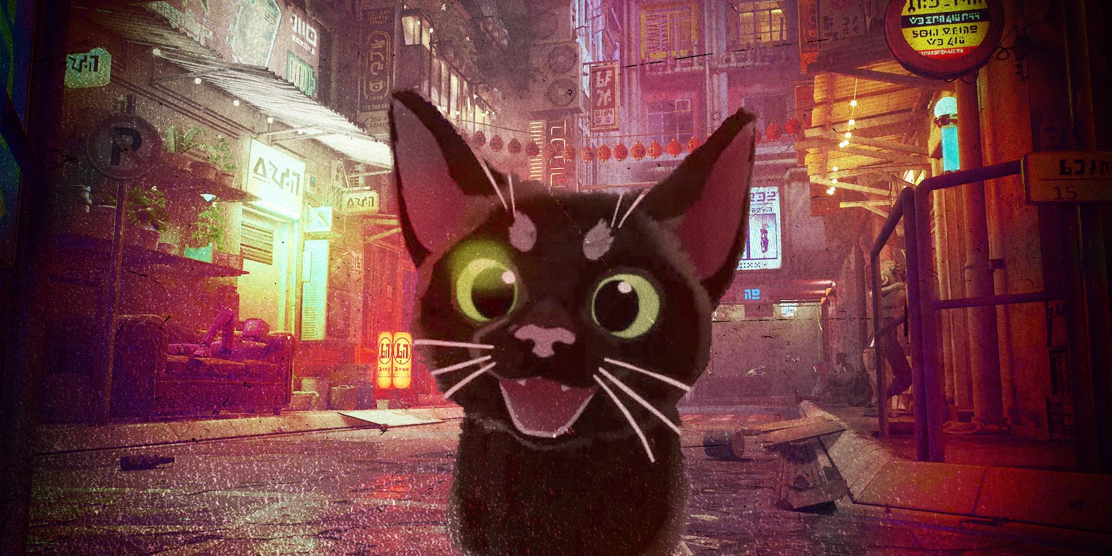 stray_kitty-1.jpg?w=1600&h=