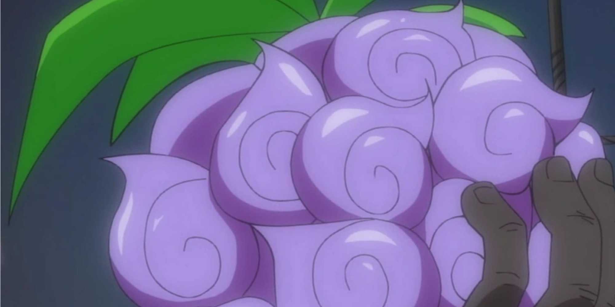 Curce Devil One Piece's Devil Fruits, Explained