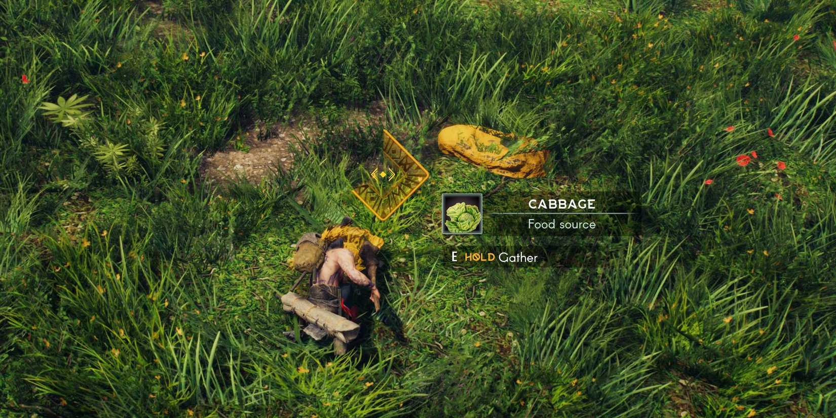 How To Get Food In Aska