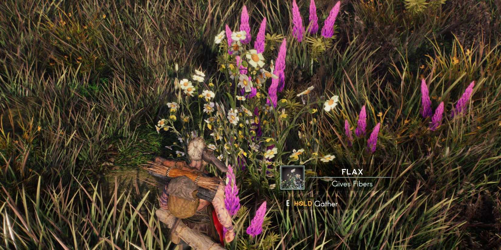 Beginner Tips For Aska