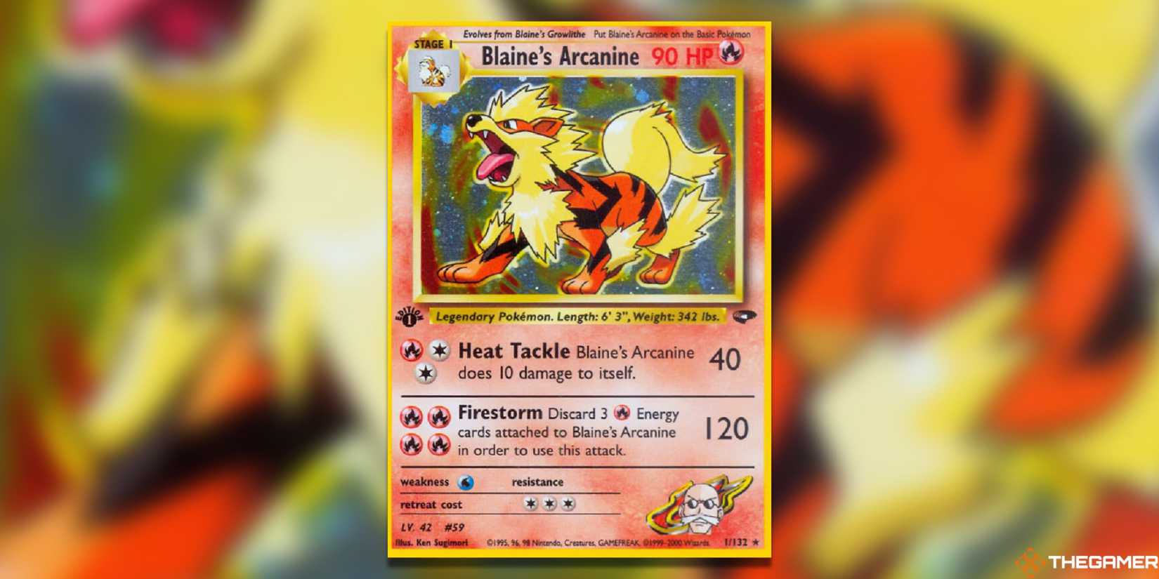 The Most Expensive Pokemon TCG Cards In Gym Challenge The Most Expensive Pokemon TCG Cards In Gym Challenge