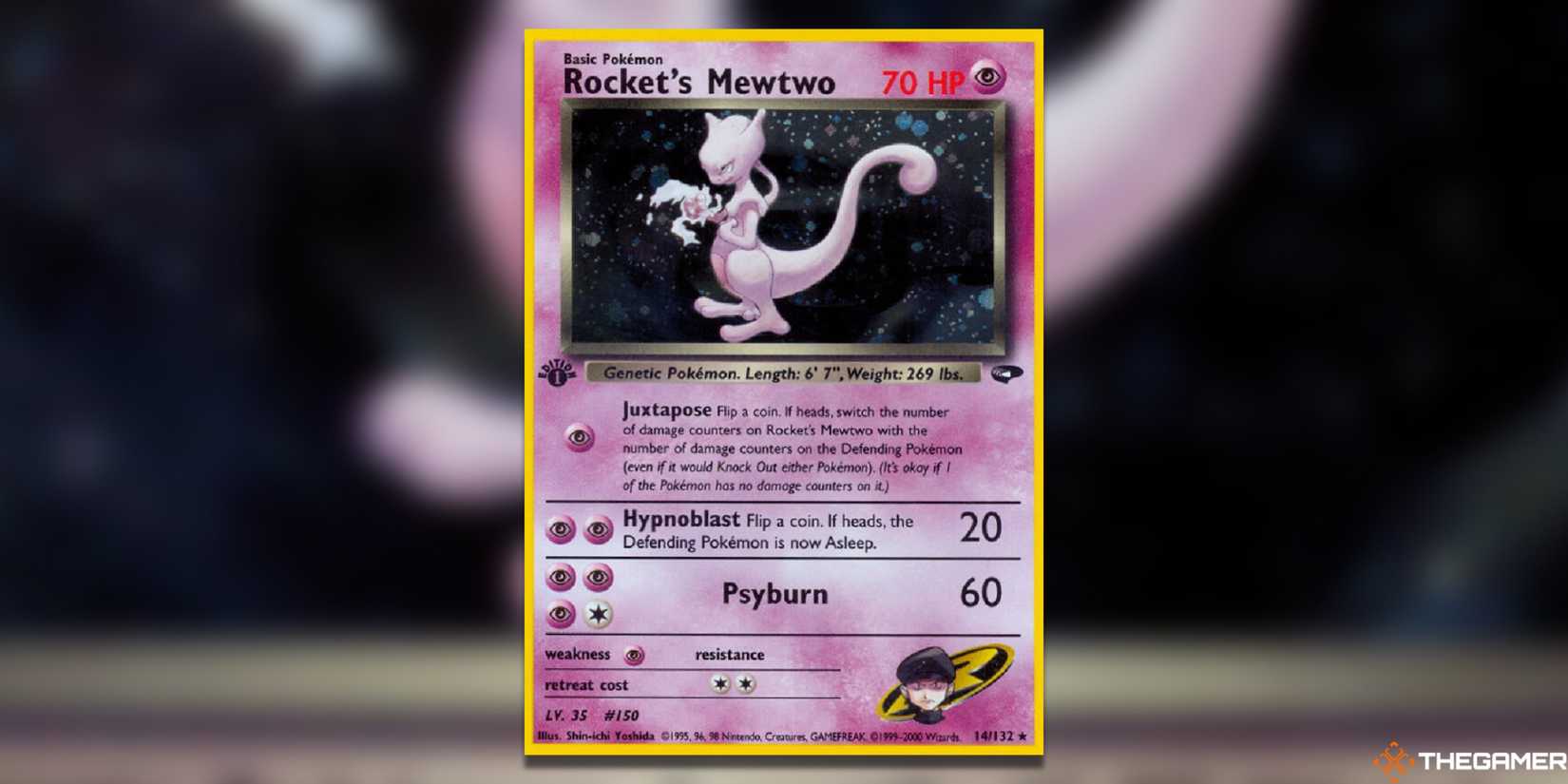 The Most Expensive Pokemon TCG Cards In Gym Challenge The Most Expensive Pokemon TCG Cards In Gym Challenge