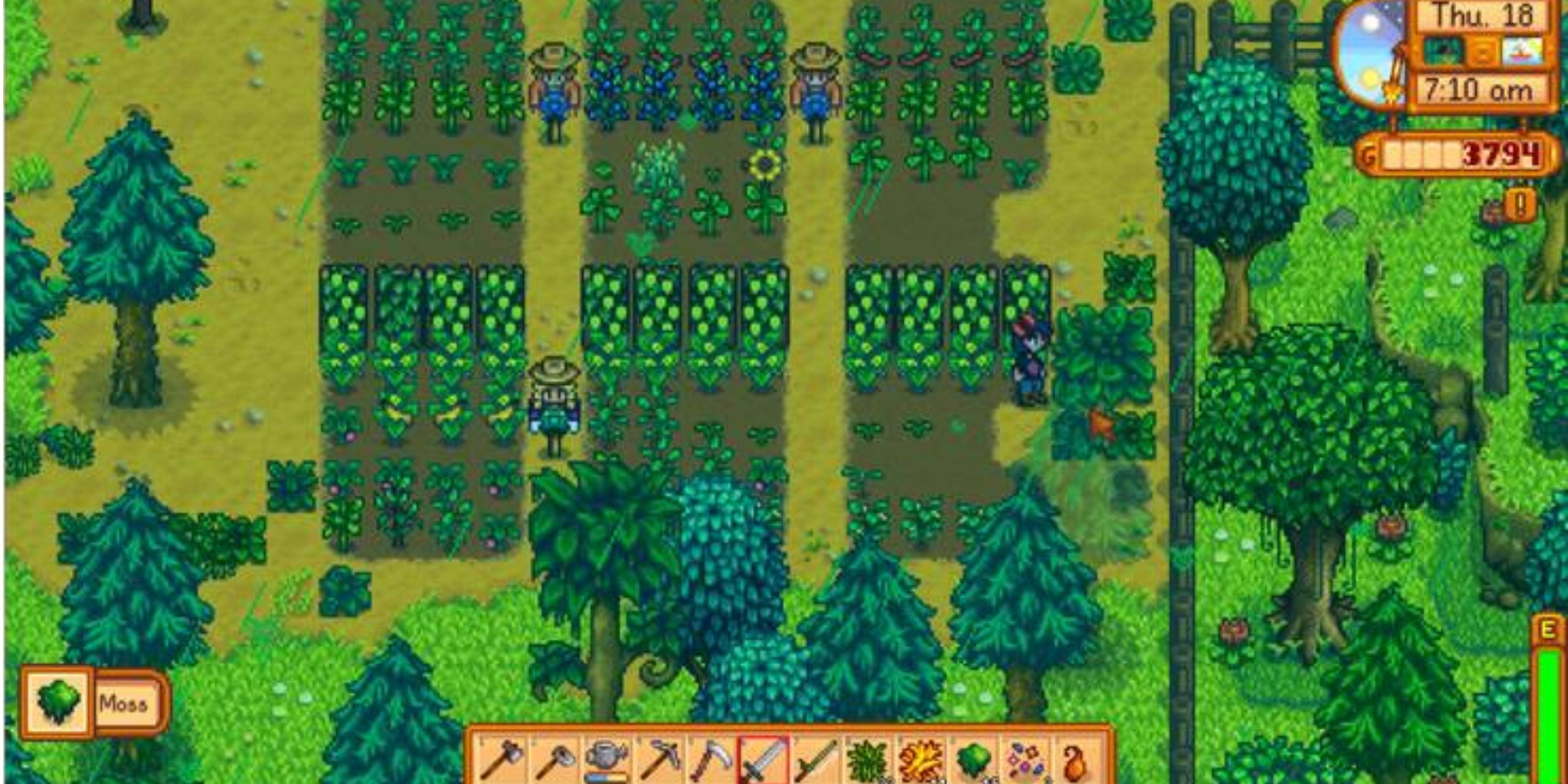 What To Do During Green Rain In Stardew Valley