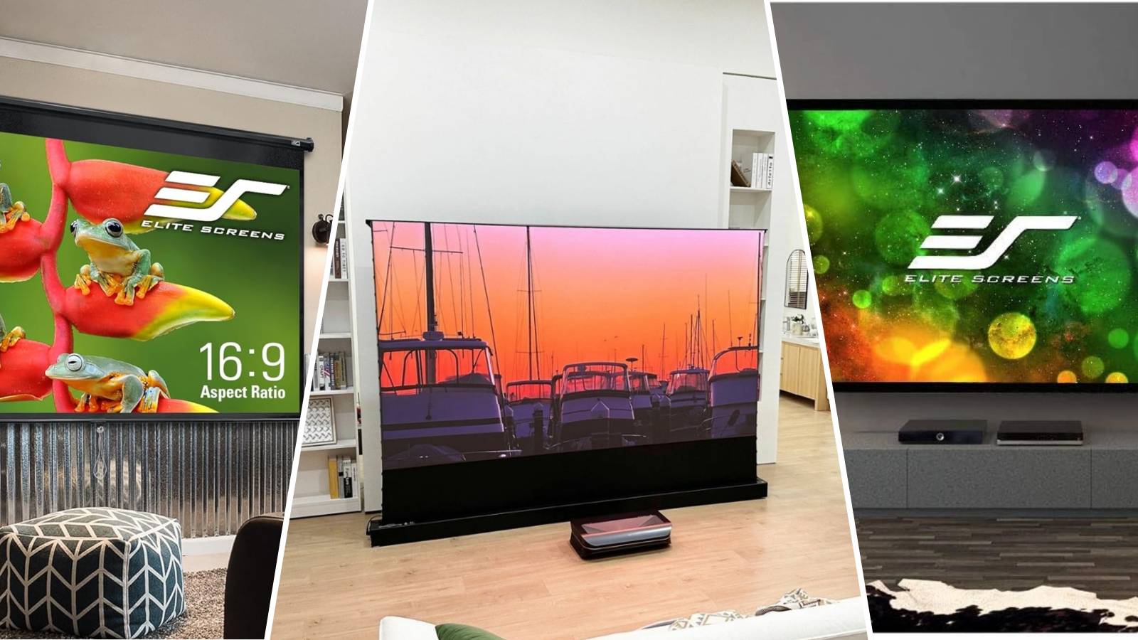 The Best Projector Screens You Can Buy In 2024