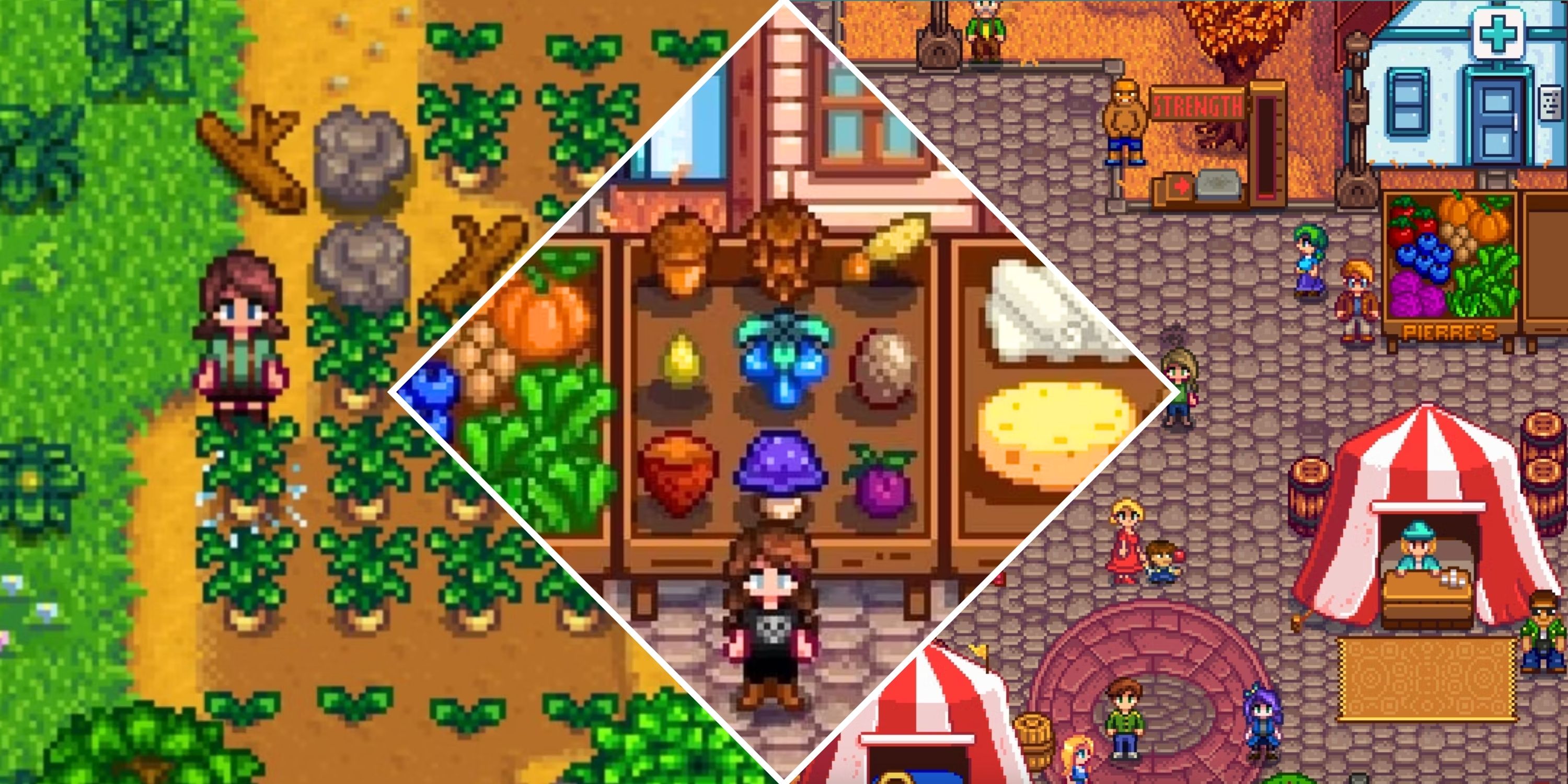 Stardew Valley Guide How To Win The Grange Display Contest