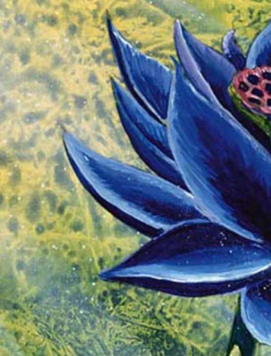 Magic The Gathering Spelltable Guide