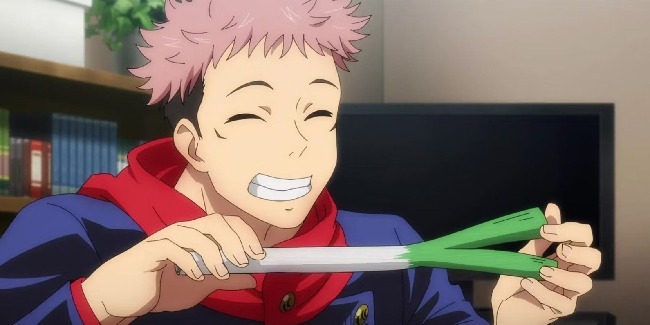 The Best Anime Characters With Pink Hair