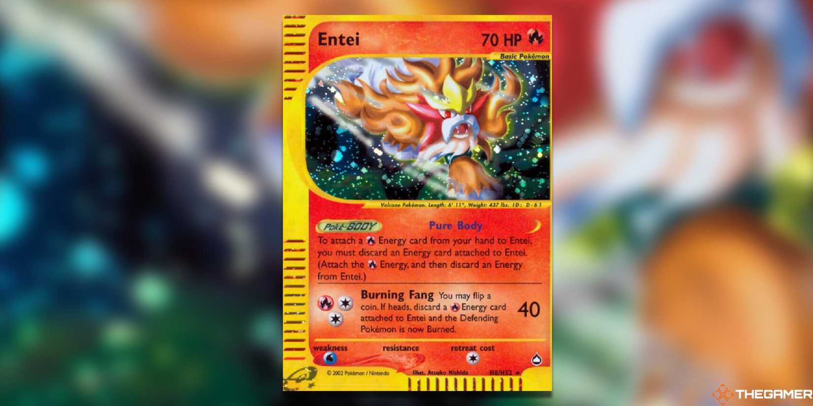 The Most Expensive Entei Pokemon TCG Cards The Most Expensive Entei Pokemon TCG Cards