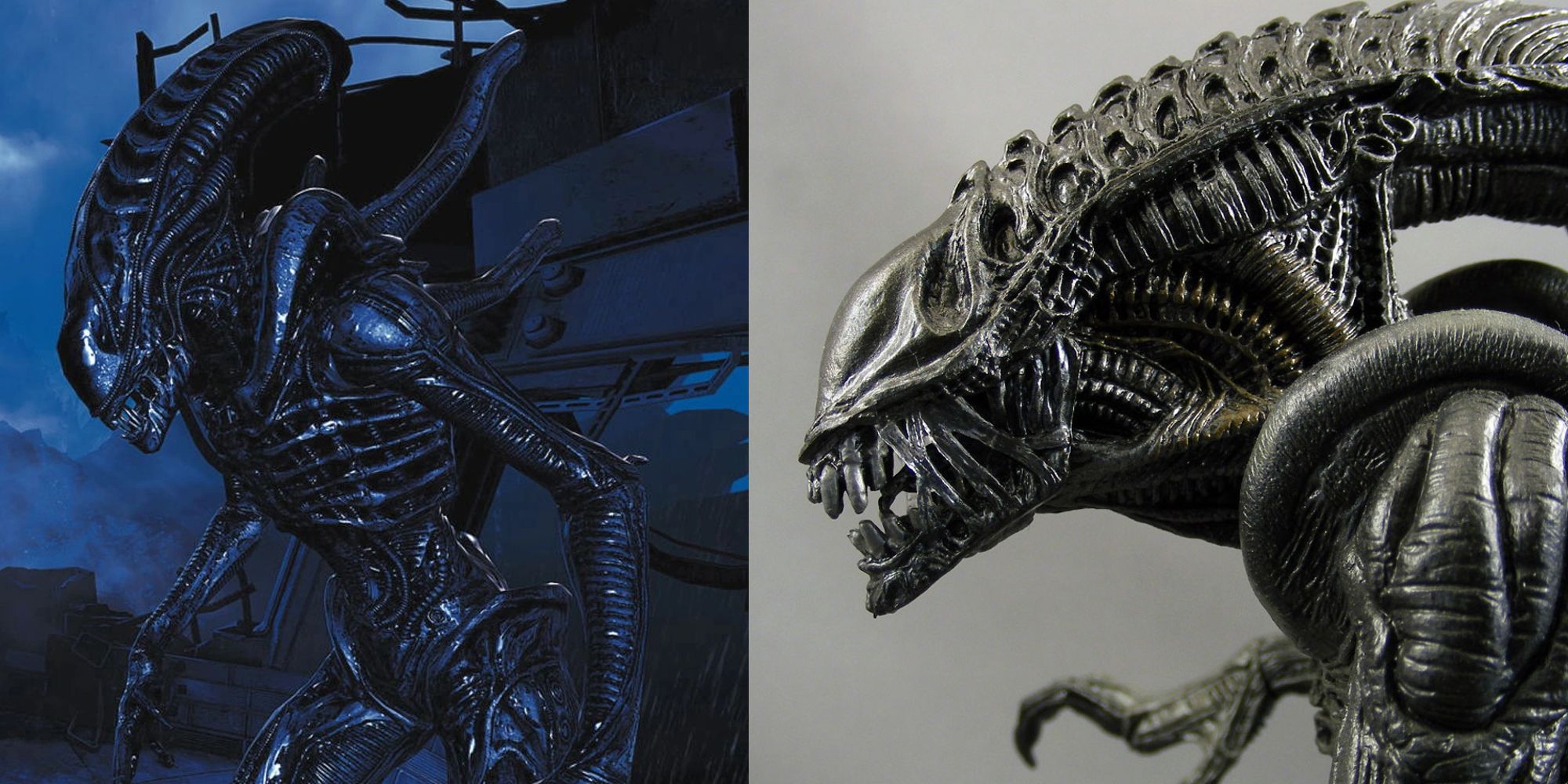 The Best Xenomorph Designs In The Alien Series