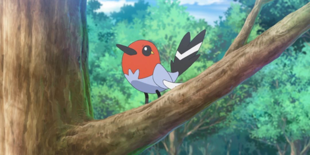 The Best Early Route Pokemon