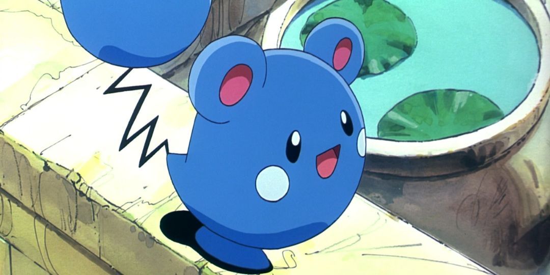 The Best Early Route Pokemon